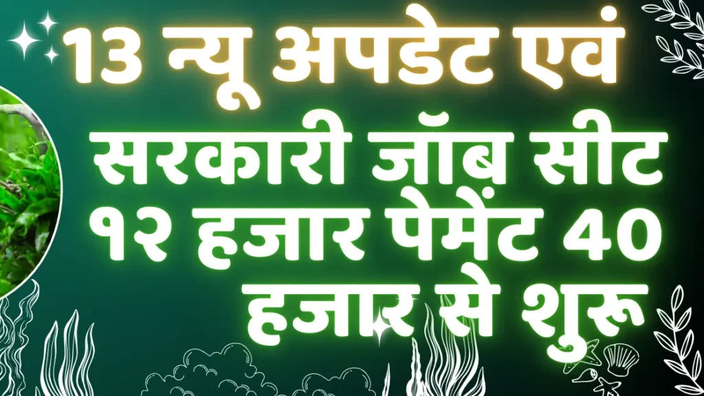  11 Feb 2025 Top 13 New Vacancy | Feb 25 Top 13 Vacancy No Fee No Exam Only Interview